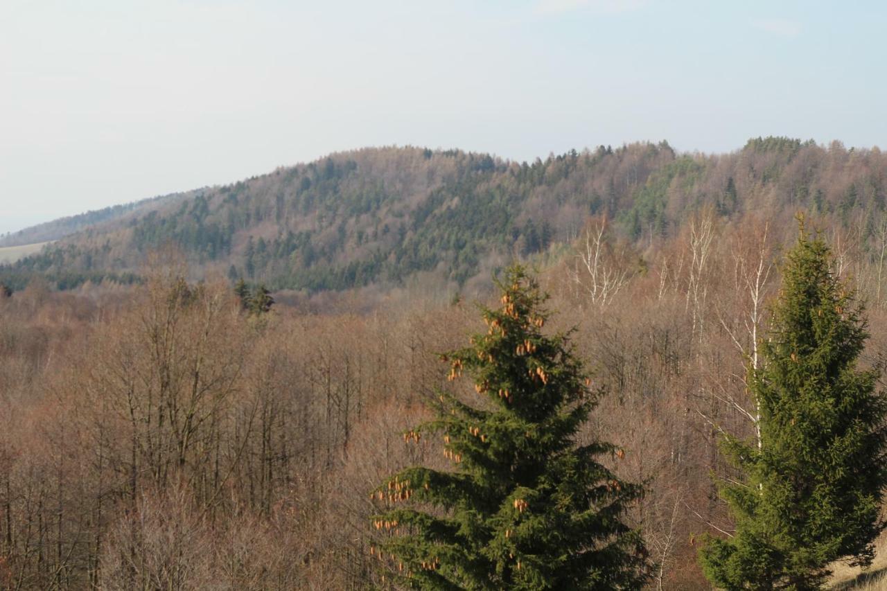 Agroturystyka Pod Sniezna Bystrzyca Kłodzka Exterior foto